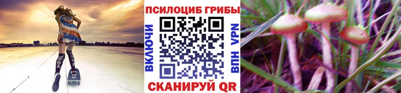 Галлюциногенные грибы прущие грибы купить закладку Красный Холм