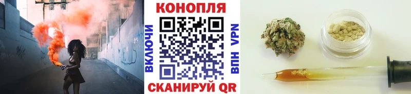Конопля OG Kush  Красный Холм 
